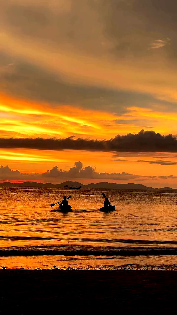 swfx_real archive video preview