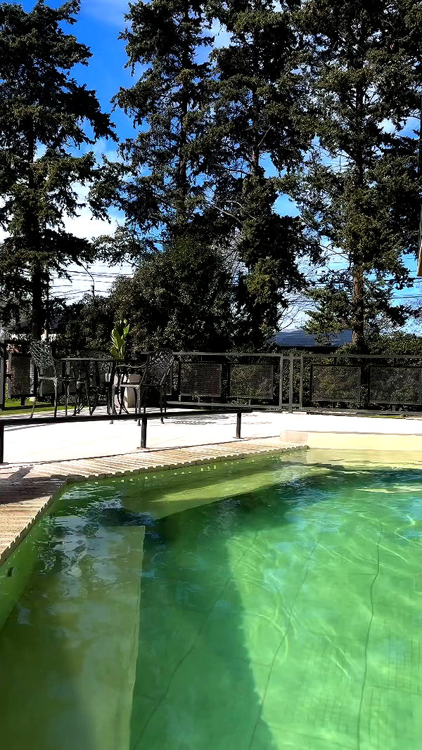 _aldibernardo archive video preview