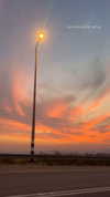 ofri.elul Altpins Profile Picture