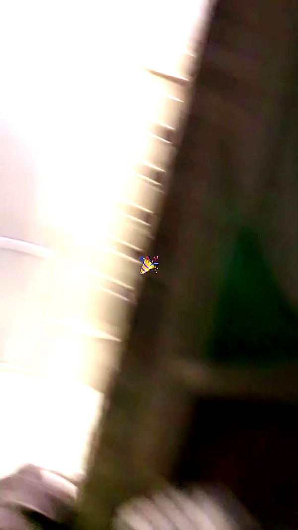 tiny.eviluv archive video preview