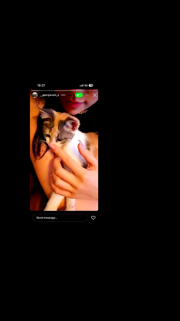 dante_yangpa archive video preview