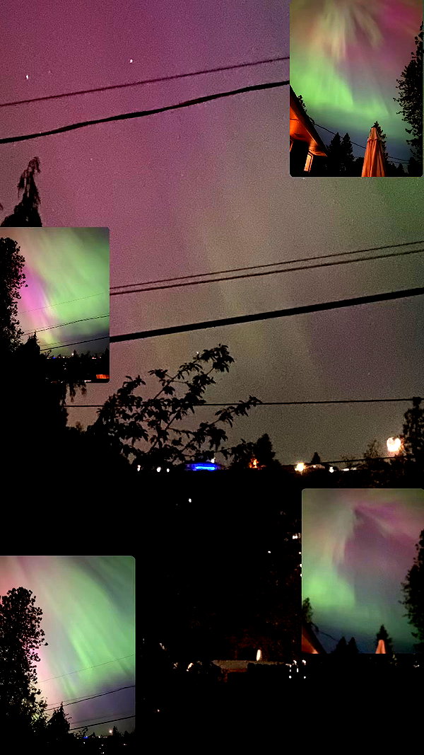 reanidays.cos archive video preview