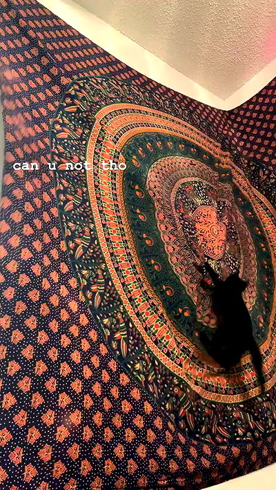 suikomuu suikomuu archive video