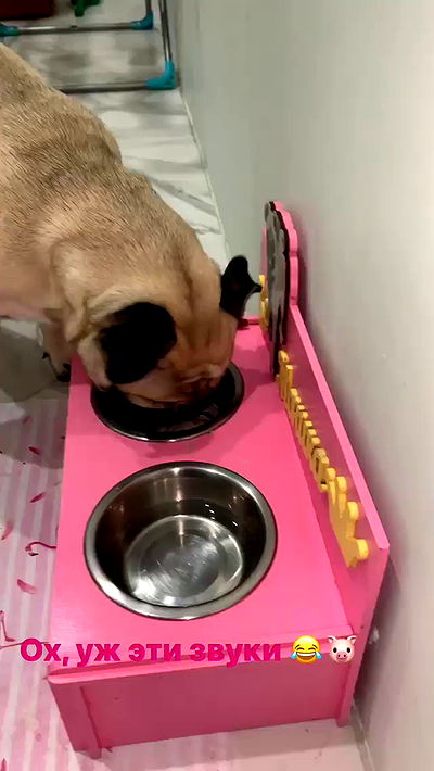 nyityam nyityam archive video