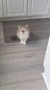 mirekyarahire Altpins Profile Picture