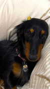 libby_reut Altpins Profile Picture