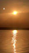 danafetishistova Altpins Profile Picture