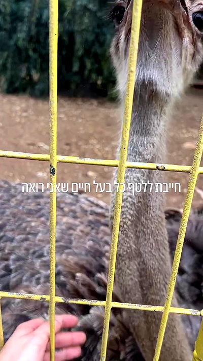 feelbetterinmysweater feelbetterinmysweater archive video