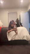 hey.its.yammy Altpins Profile Picture