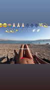 babynympho_archive Altpins Profile Picture
