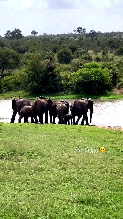 taylor.creeden taylor.creeden archive video