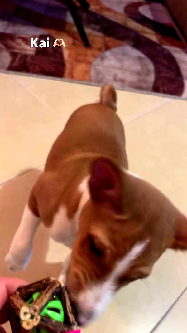 bbyerikss archive video preview