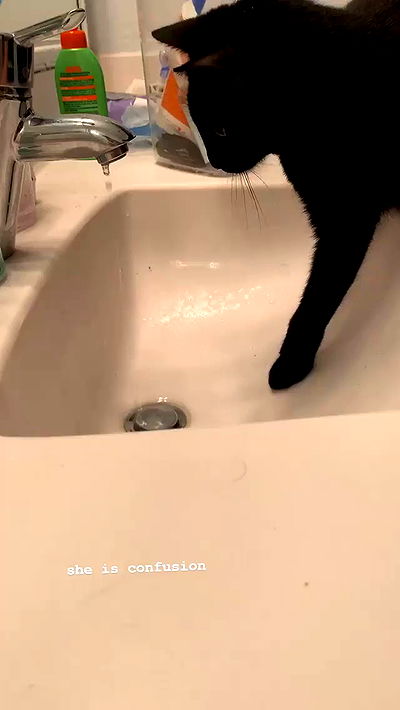 suikomuu suikomuu archive video