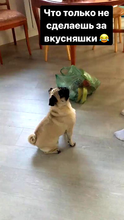 nyityam nyityam archive video