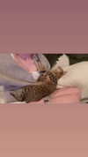 norafawn Altpins Profile Picture