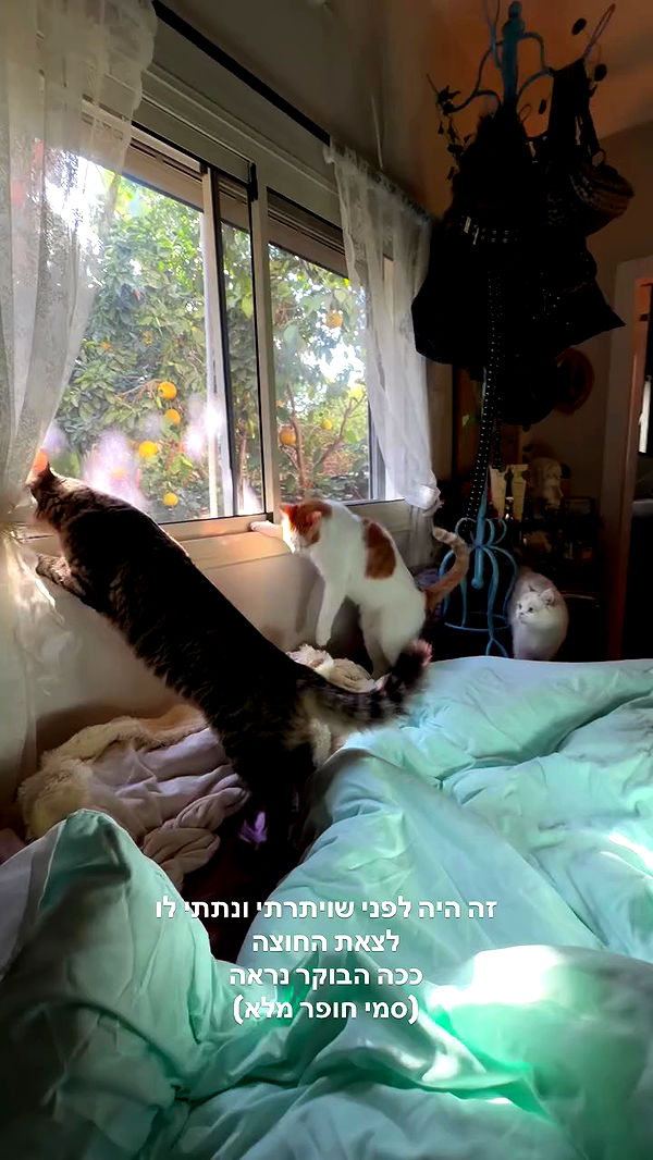 strawberryshanz archive video preview