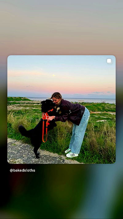 bakedsloths bakedsloths archive video