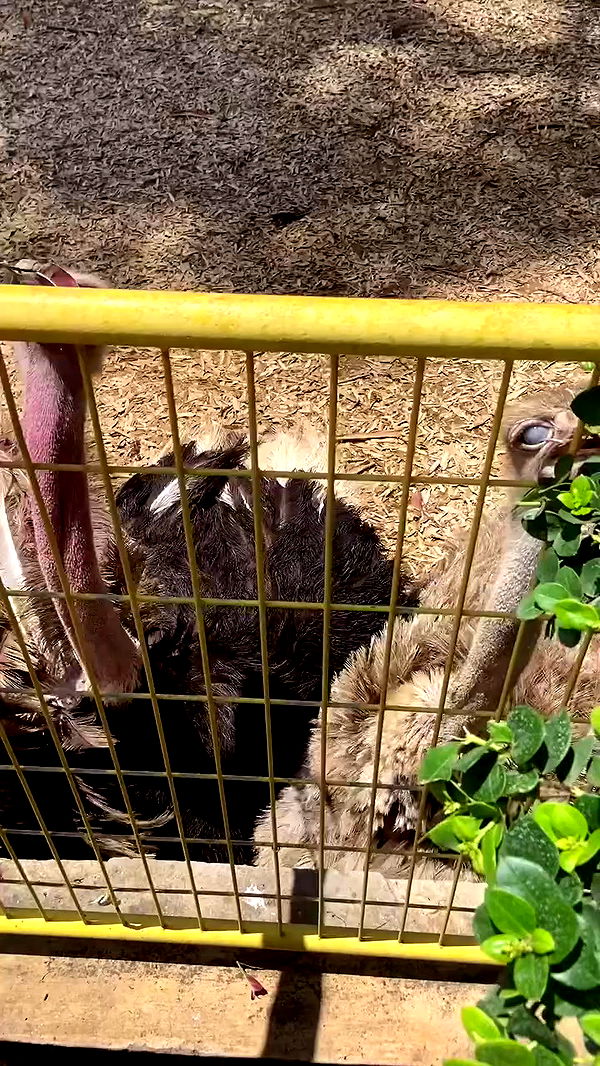 feelbetterinmysweater archive video preview