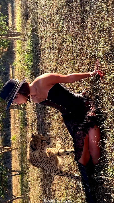 taylor.creeden taylor.creeden archive video