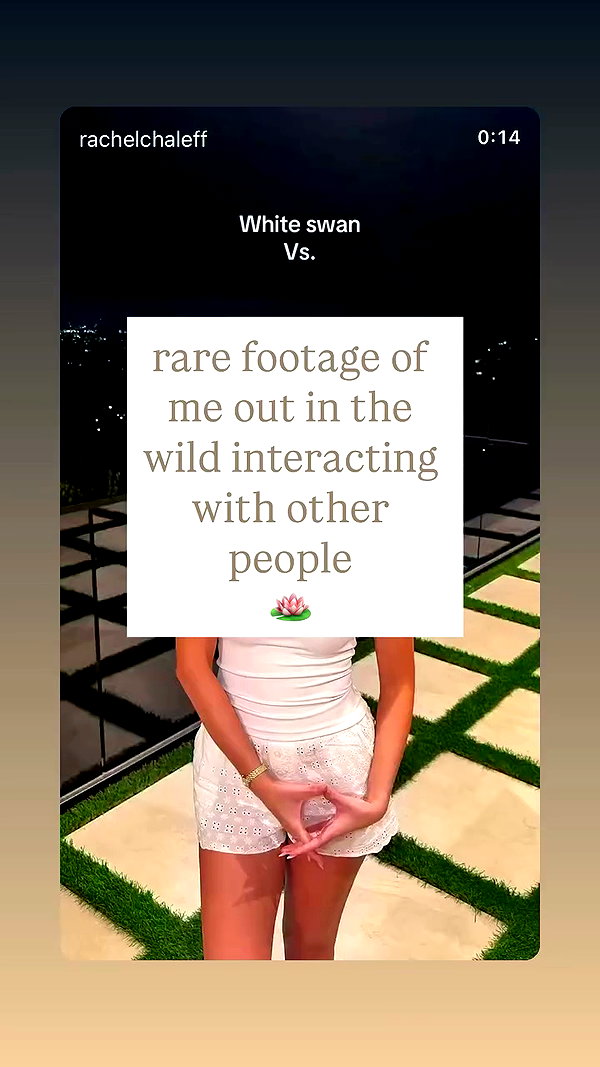 rachelchaleff archive video preview