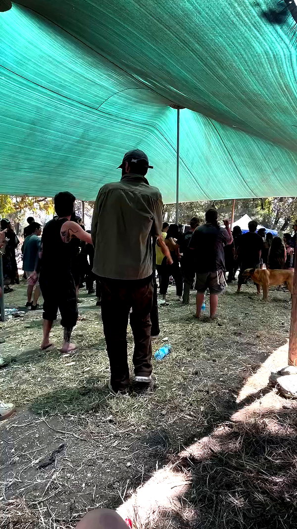 _.shelichka._ archive video preview