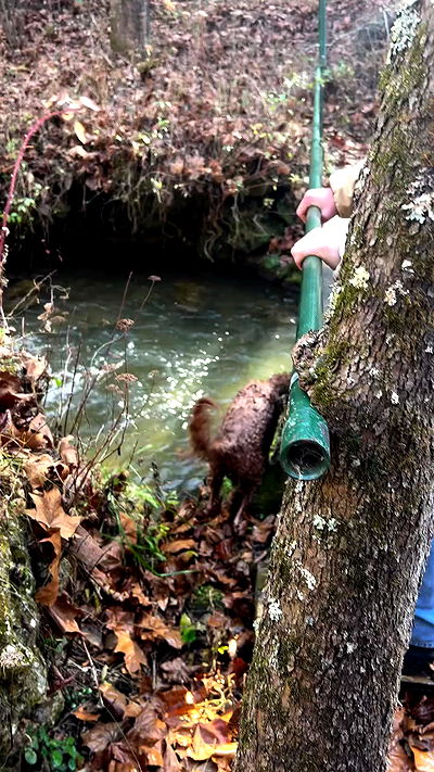 missnyxdawn missnyxdawn archive video