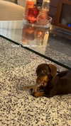 maya.keyy Altpins Profile Picture