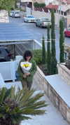 mai_glazer Altpins Profile Picture