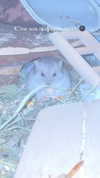 _urbaneva Altpins Profile Picture