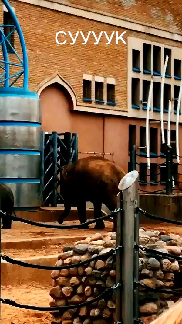 pokrov90 archive video preview