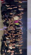 belok_bero Altpins Profile Picture