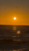orman.mariee Altpins Profile Picture