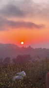 elizabethcampbelljones Altpins Profile Picture