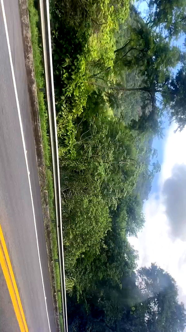 emleecordeiro archive video preview