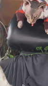 zommmbri Altpins Profile Picture