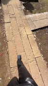 ayash.hila Altpins Profile Picture