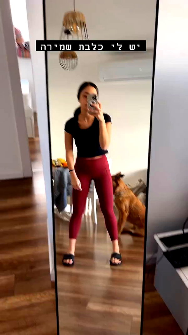 yuval_raz archive video preview