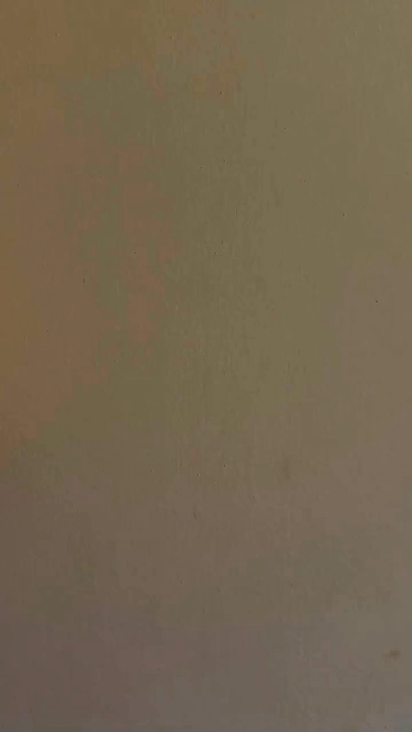barzomer archive video preview