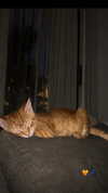 noaasaez Altpins Profile Picture