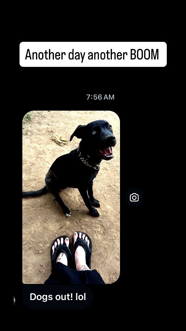 swholeanimal archive video preview
