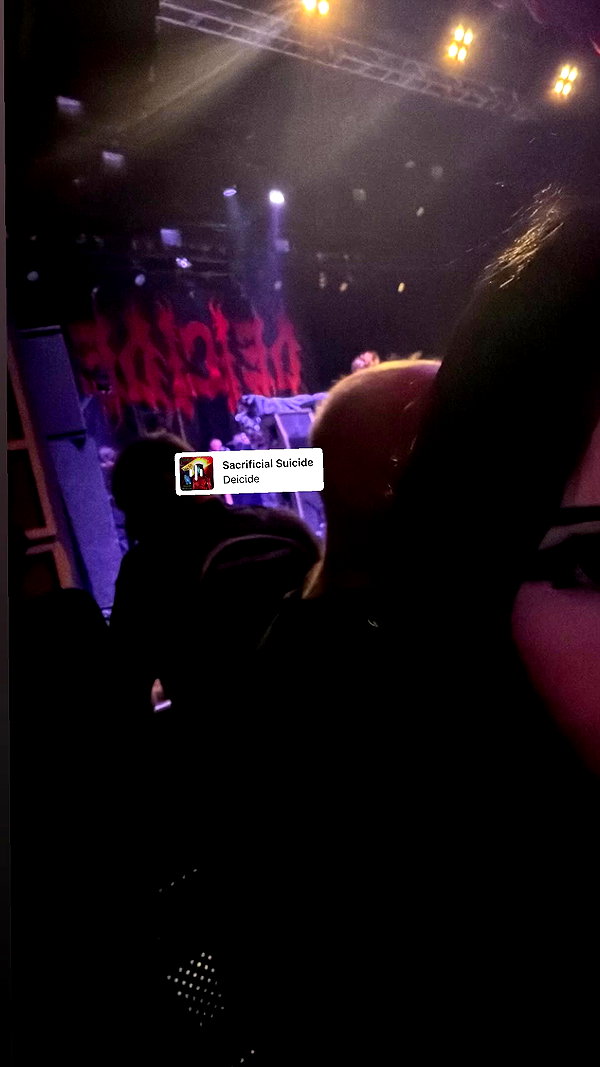 butter.on.a.poptart69 archive video preview