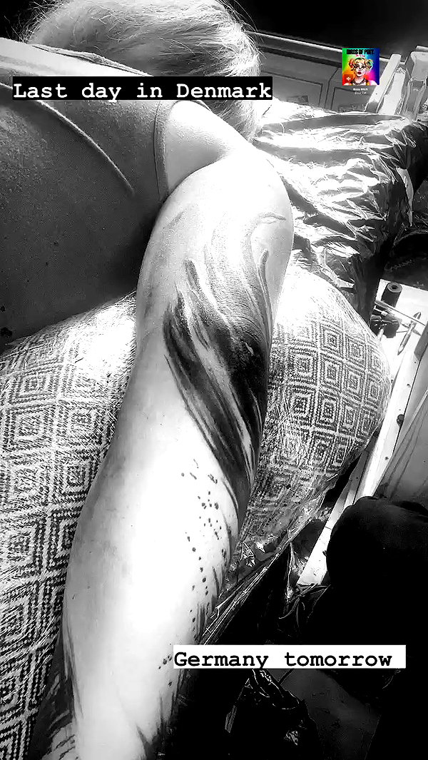 venecatattoo archive video preview