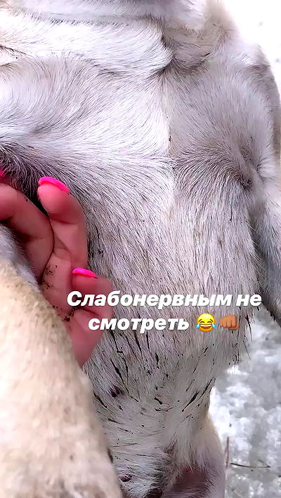 nyityam nyityam archive video