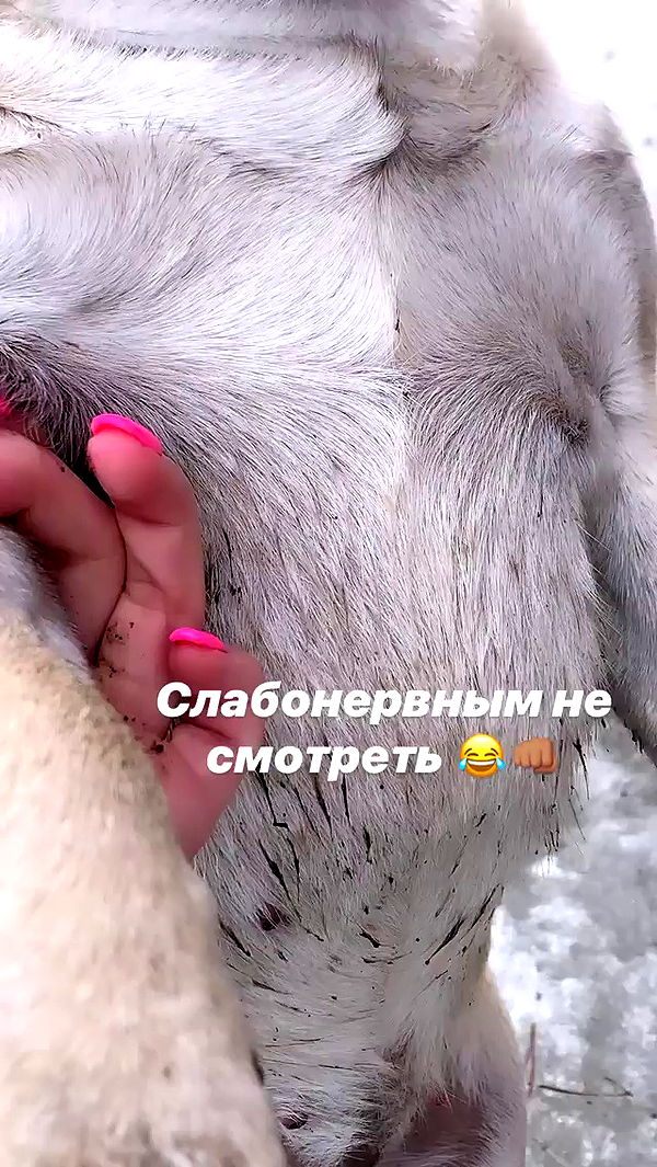 nyityam archive video preview