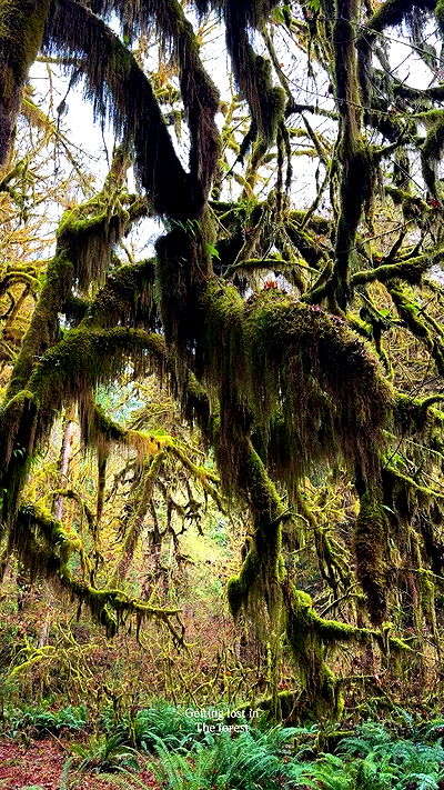 taylor.creeden taylor.creeden archive video