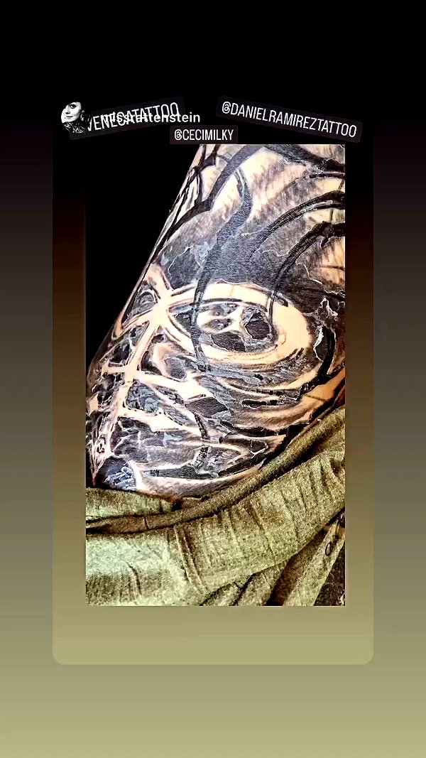 venecatattoo archive video preview