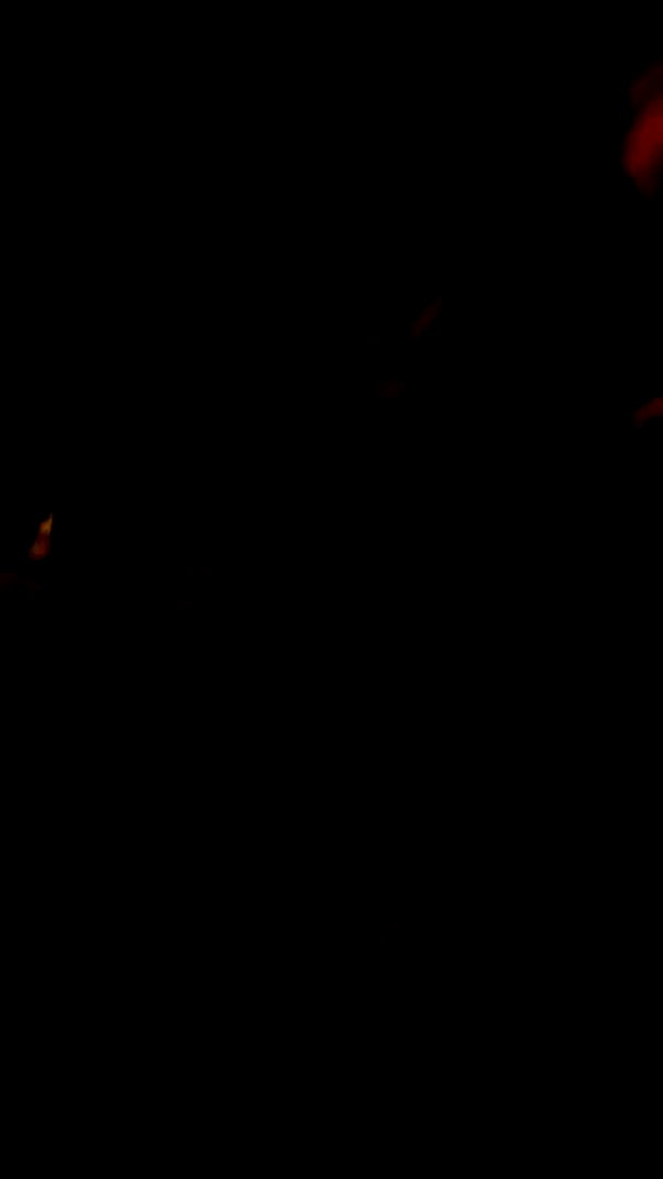 _lil_noa_ archive video preview