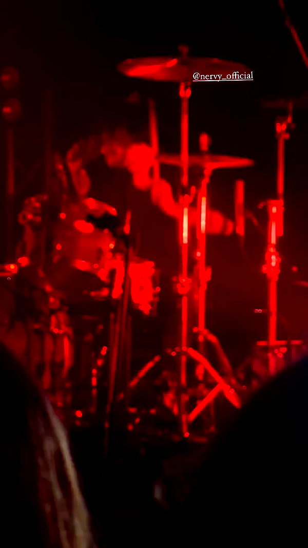 _allvi.pansk archive video preview