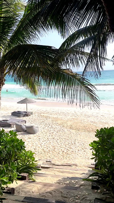 taylor.creeden taylor.creeden archive video