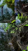 arachn1.ba3 Altpins Profile Picture